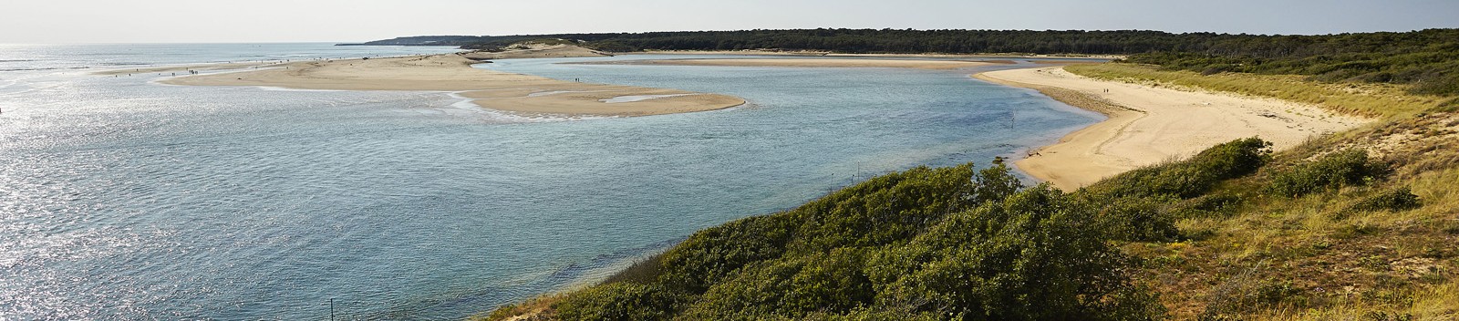 Estuaire du Payré - copyright A. Lamoureux